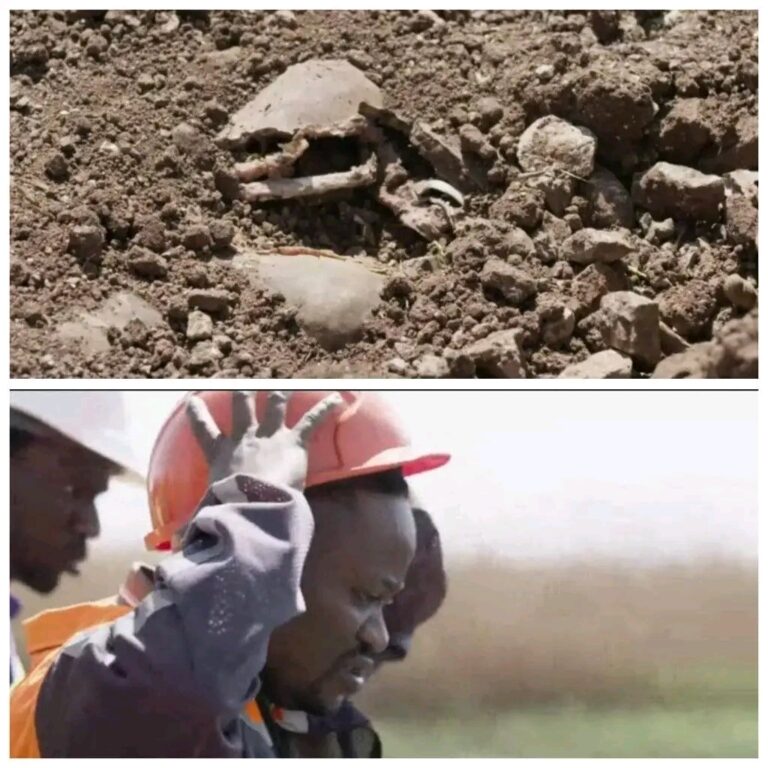 1730180414617