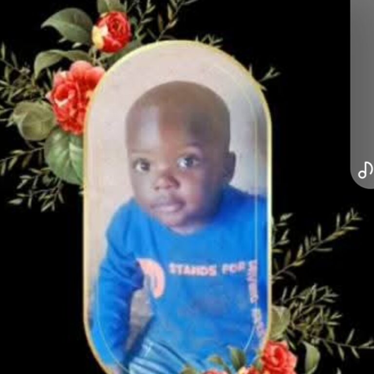Screenshot_20250313_083902_Lite