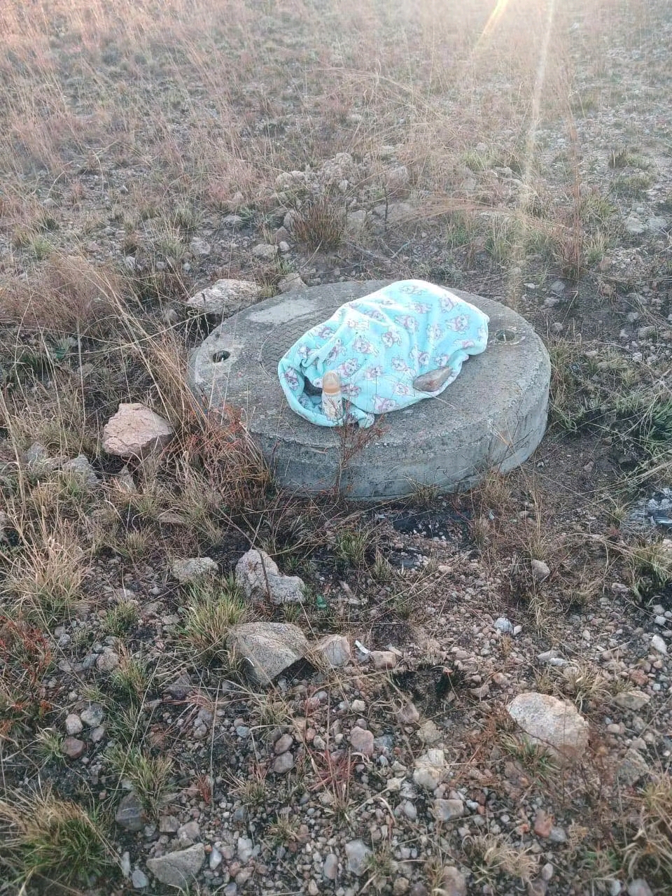 1753792368871