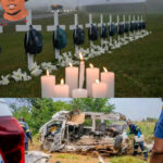 InShot_20260122_111830230