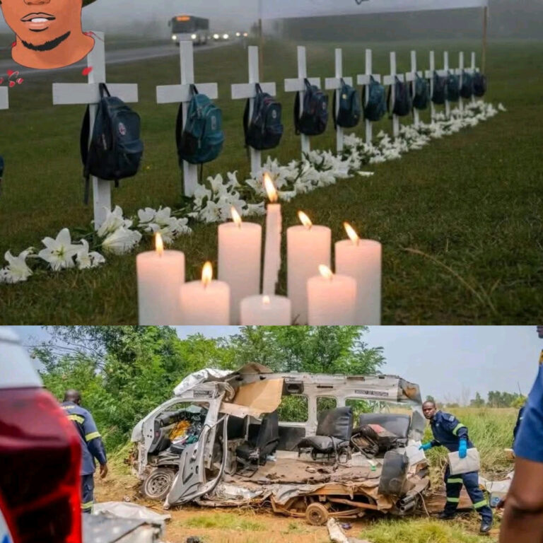 InShot_20260122_111830230